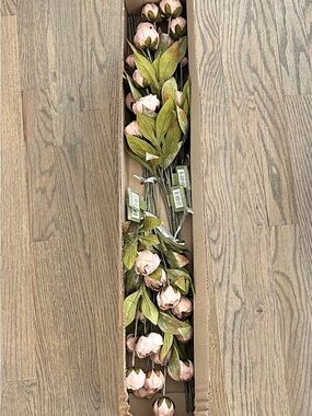 Viral Michaels Ashland Tan Peonies - Set of 8 Stems NEW IN BOX